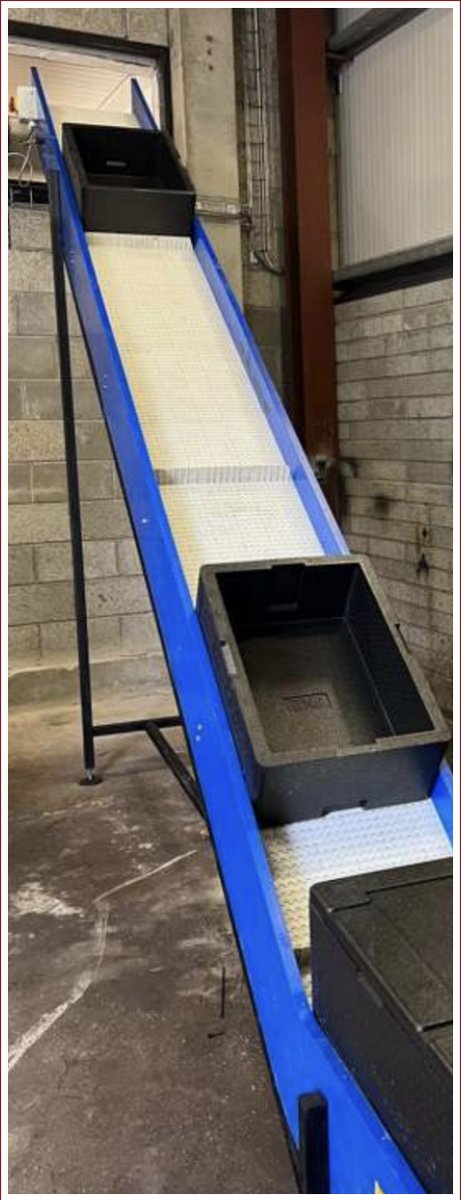Modular Belt Conveyors (Multiple)