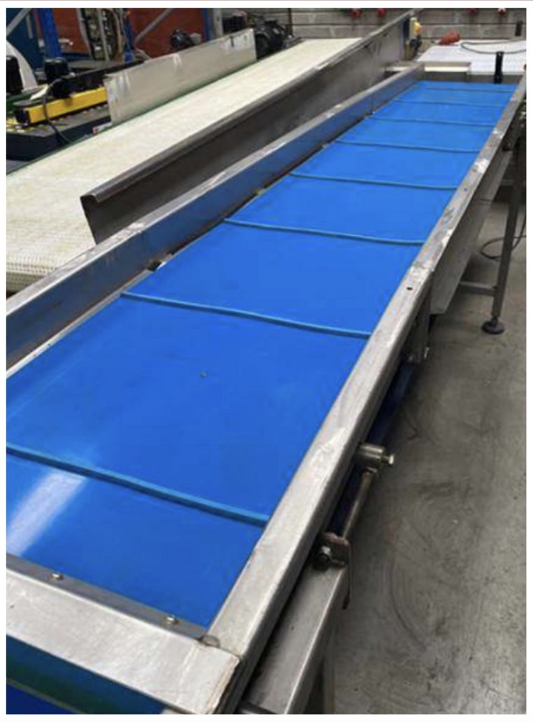 long SS Modular Belt Product Conveyors (2)